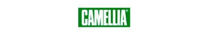 Camellia